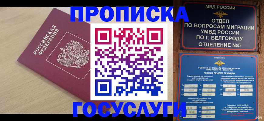 прописка законно в Райчихинске